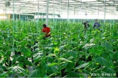 探索生態農業 從理念到實踐的開發指南